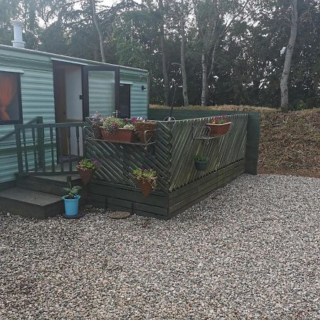 Lochlands Caravan Park X Villa Forfar Bagian luar foto